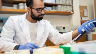 Graduate student conducting research in lab